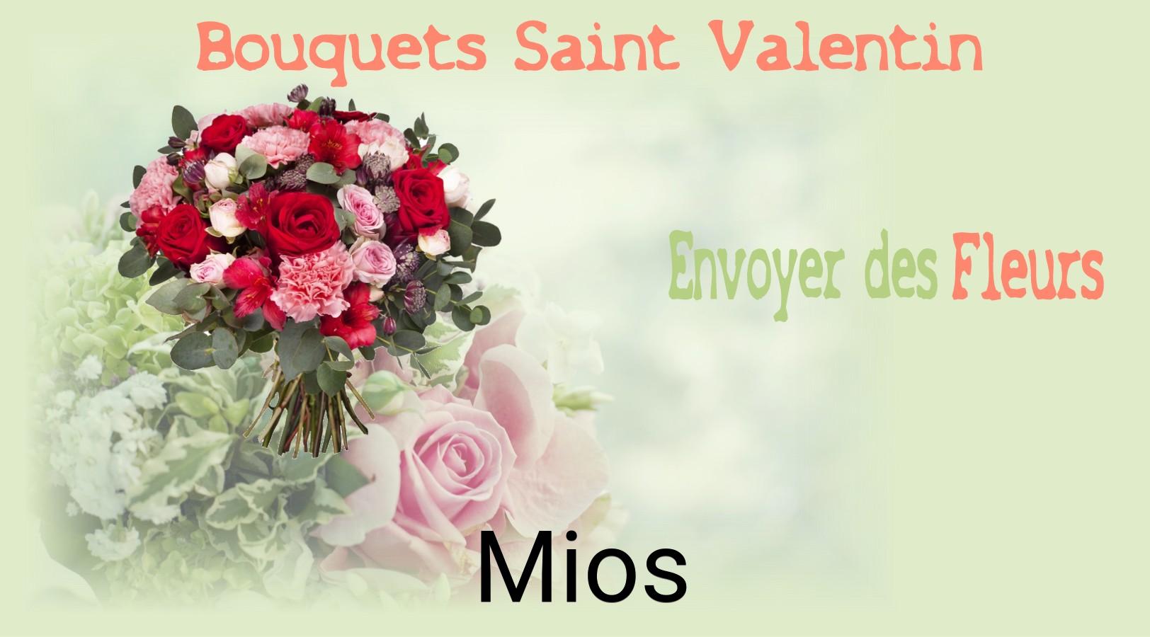 Roses de Saint-Valentin livrées à Mios