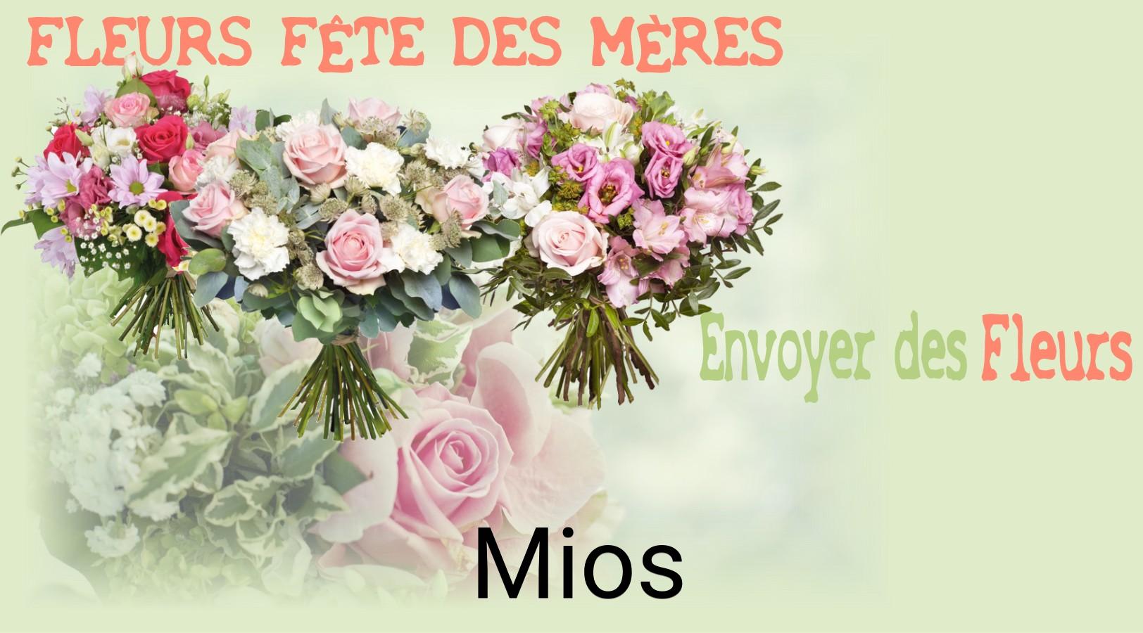 Bouquet de Fête des Mères livré à Mios